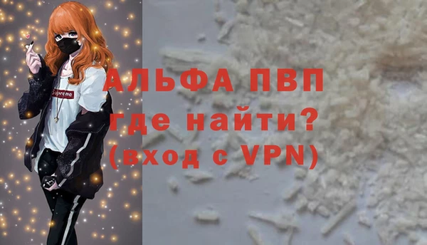 ПСИЛОЦИБИНОВЫЕ ГРИБЫ Бородино