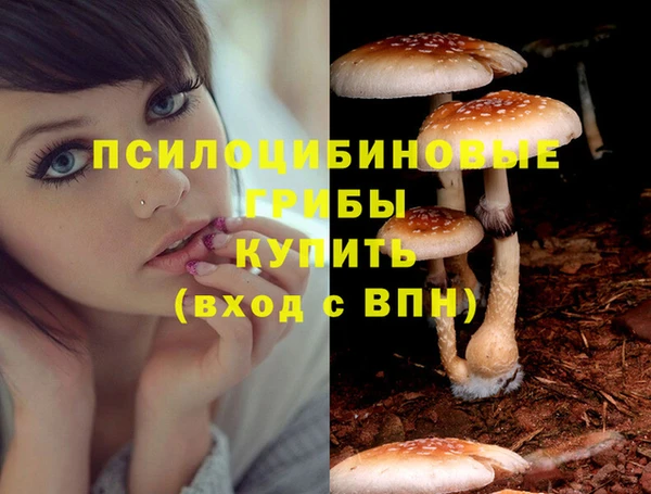 метадон Бронницы