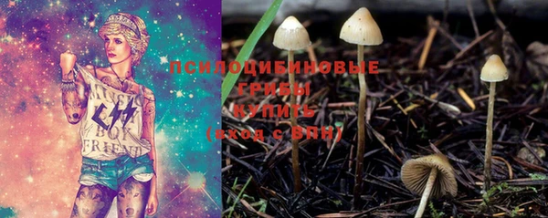 Альфа ПВП Бугульма