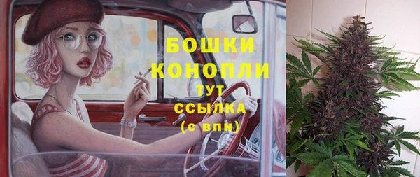 Альфа ПВП Бугульма