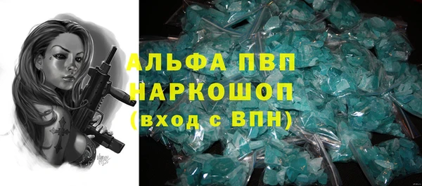 spice Богородицк