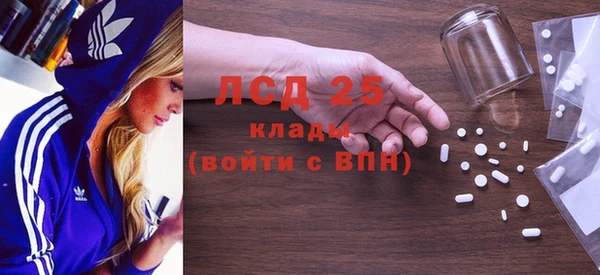 ПСИЛОЦИБИНОВЫЕ ГРИБЫ Бородино