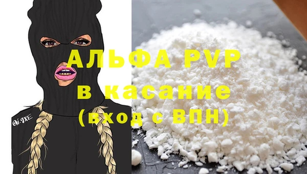 ПСИЛОЦИБИНОВЫЕ ГРИБЫ Бородино