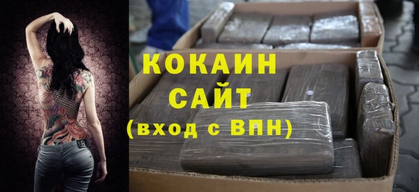 ПСИЛОЦИБИНОВЫЕ ГРИБЫ Бородино