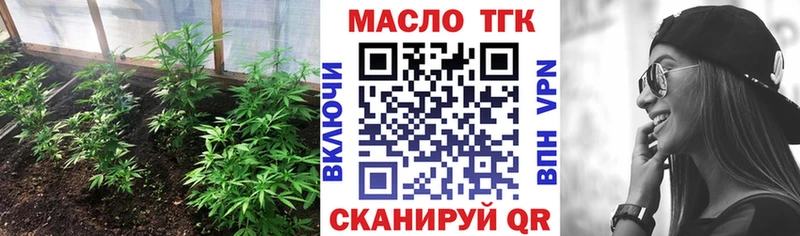 Купить закладки  Темников  ТГК Wax 