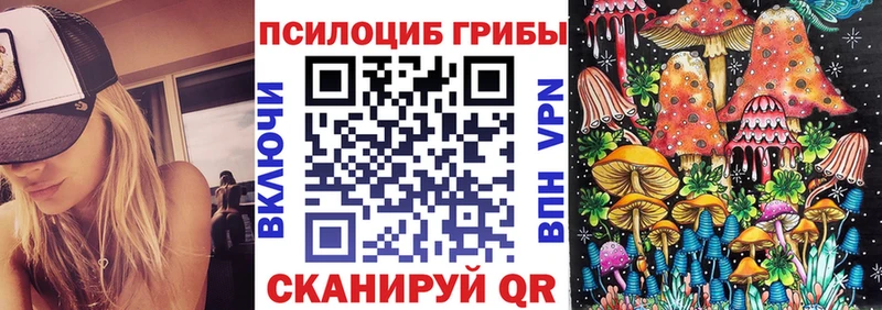 Купить где  Темников  Псилоцибиновые грибы MAGIC MUSHROOMS 
